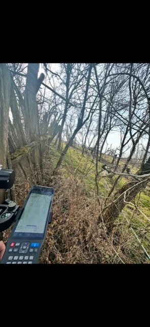 Stereo Survey — fotografie din activitatea de teren, nr. 29