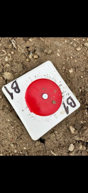 Stereo Survey — fotografie din activitatea de teren, nr. 32