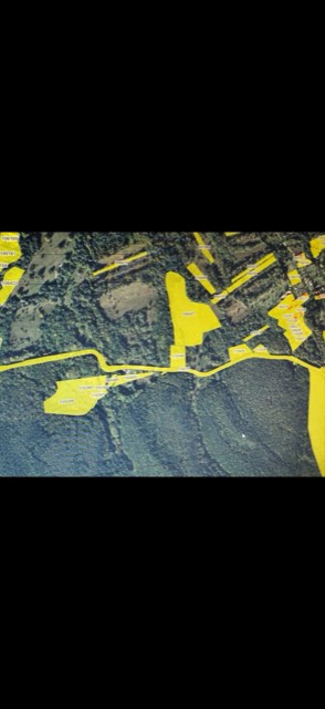Stereo Survey — fotografie din activitatea de teren, nr. 73