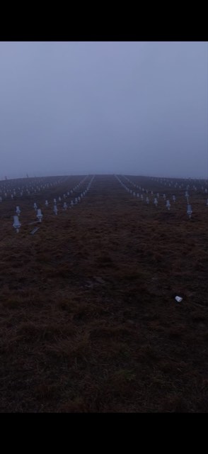 Stereo Survey — fotografie din activitatea de teren, nr. 84