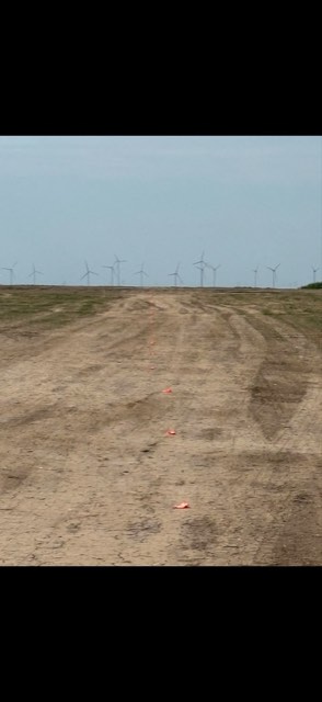 Stereo Survey — fotografie din activitatea de teren, nr. 111